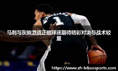 乐宝体育官方网站